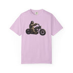 Motorcycle Sloth