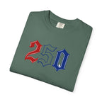 250 Patriotic Number T-Shirt