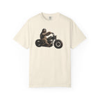 Motorcycle Sloth