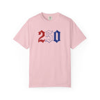 250 Patriotic Number T-Shirt